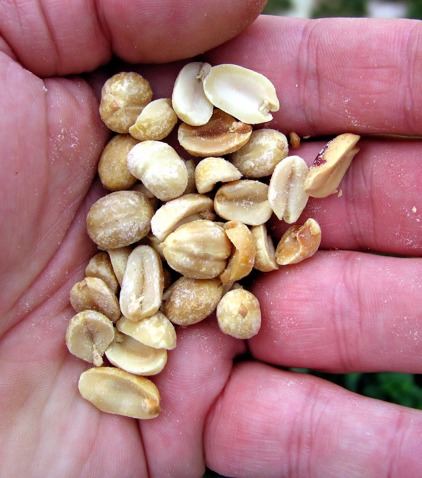 the Cucking Stool Breakfast at Delta Airlines
